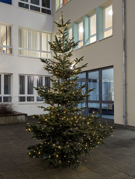 pxl_20251209_064044256.portrait.original.jpg pxl_20251209_064044256.portrait.original.jpg